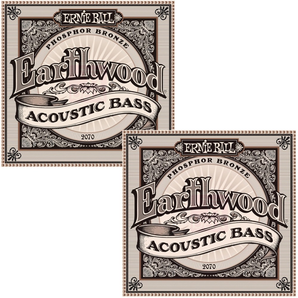 Ernie Ball Earthwood Phosphor Bronze Acoustic Bass Set .045 .095 